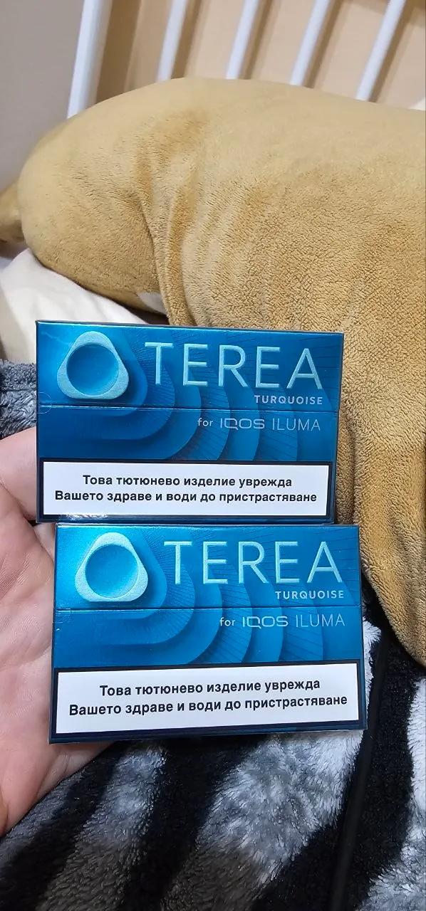Табачные стики Terea