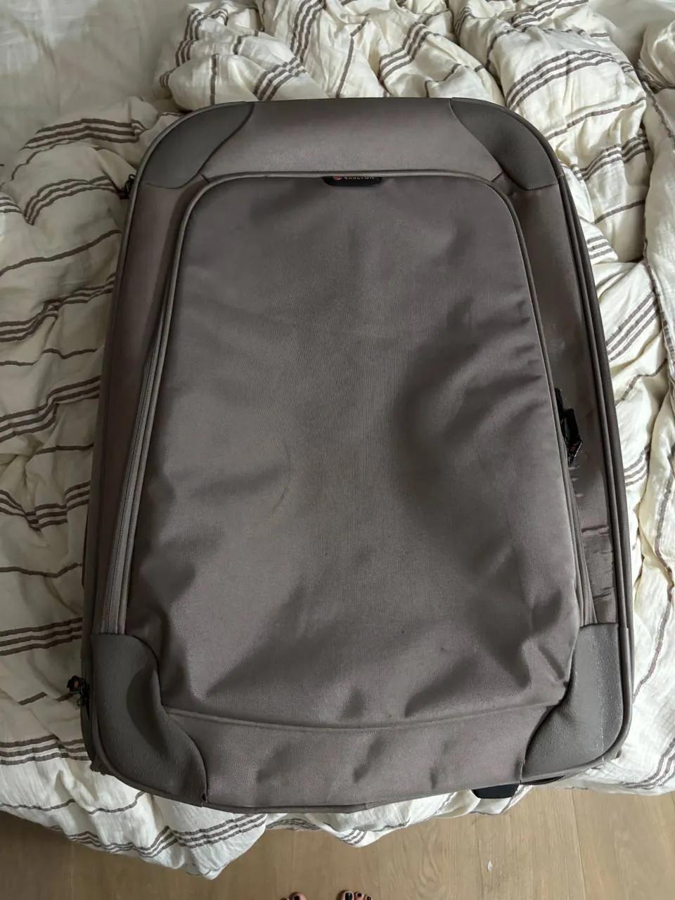 Дорожные чемоданы Carlton и Samsonite