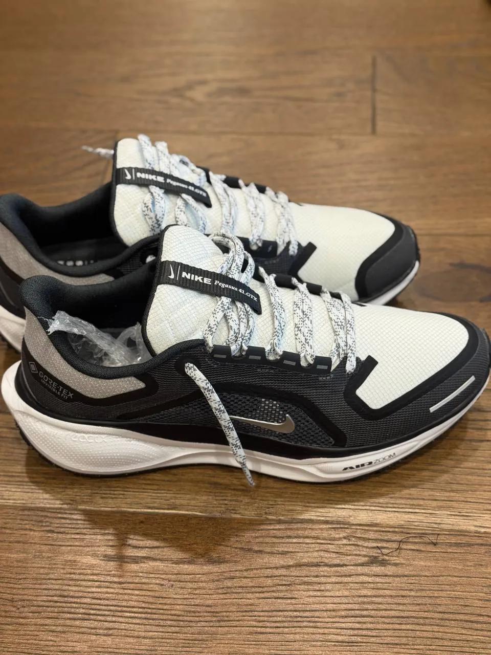 Мужские кроссовки Nike Air Zoom Pegasus 41 Gore-Tex
