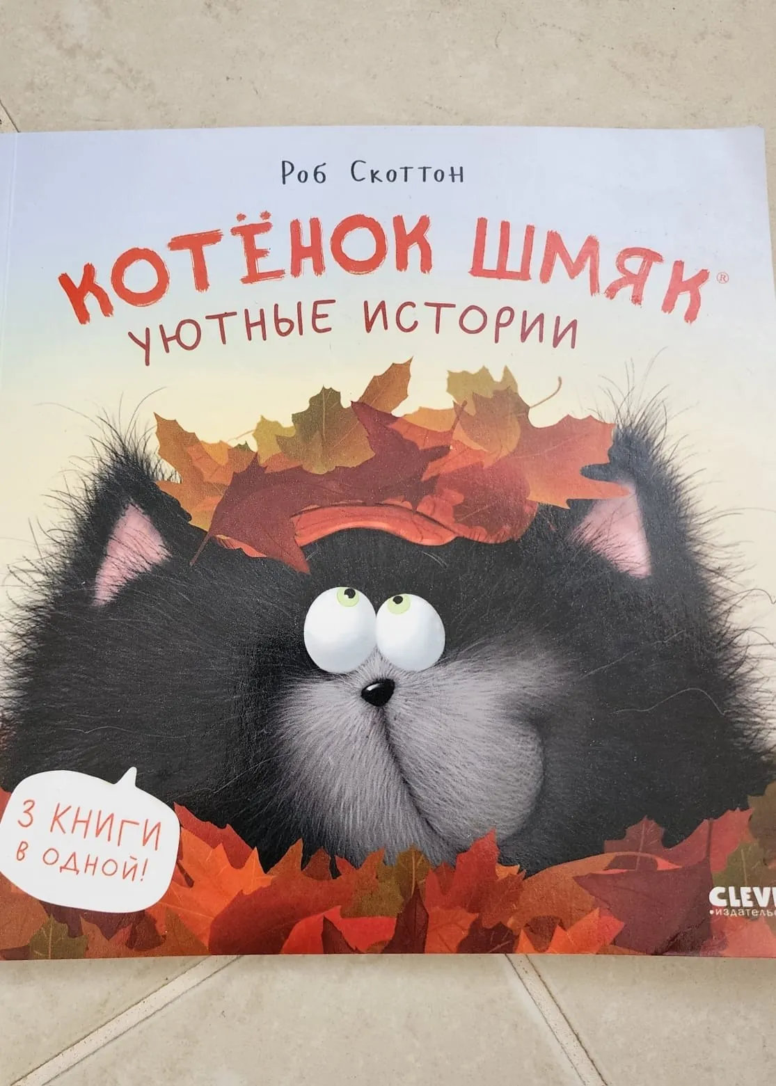 Миниатюра 5