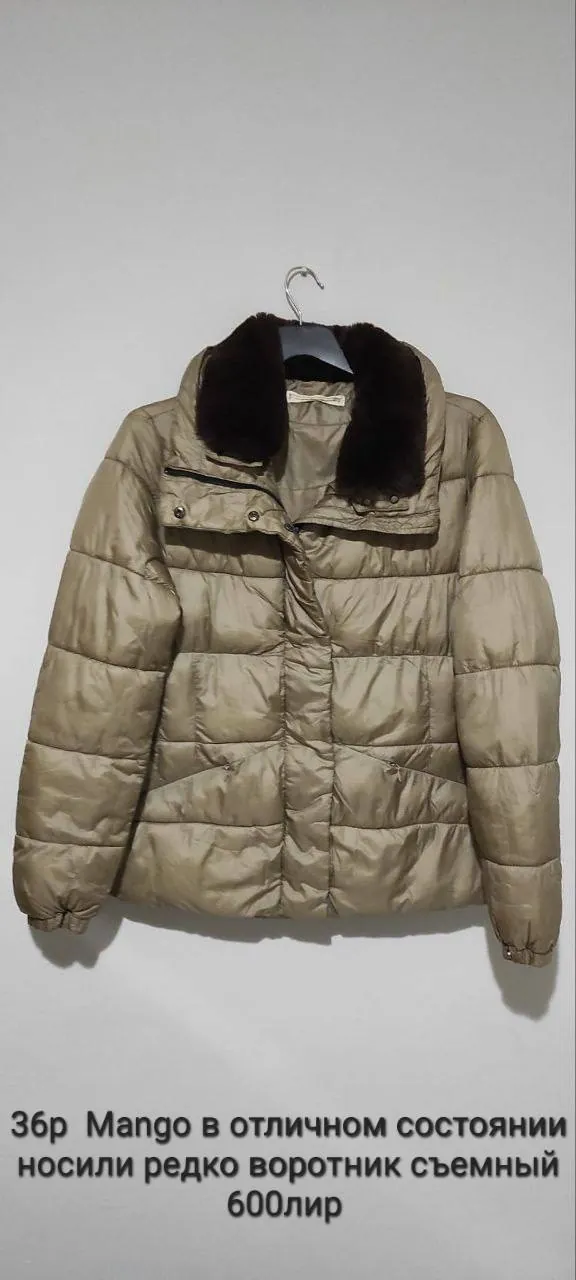 Миниатюра 1