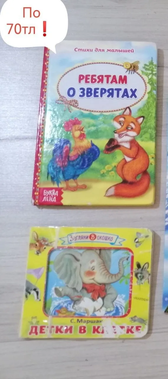 Миниатюра 6