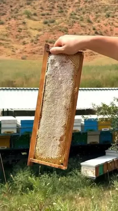 Натуральный сотовый мёд Karakovan из Сиваса 2