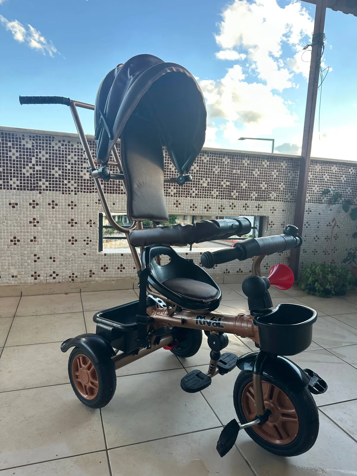 Трёхколёсный велосипед Rival RV501 Gold 1