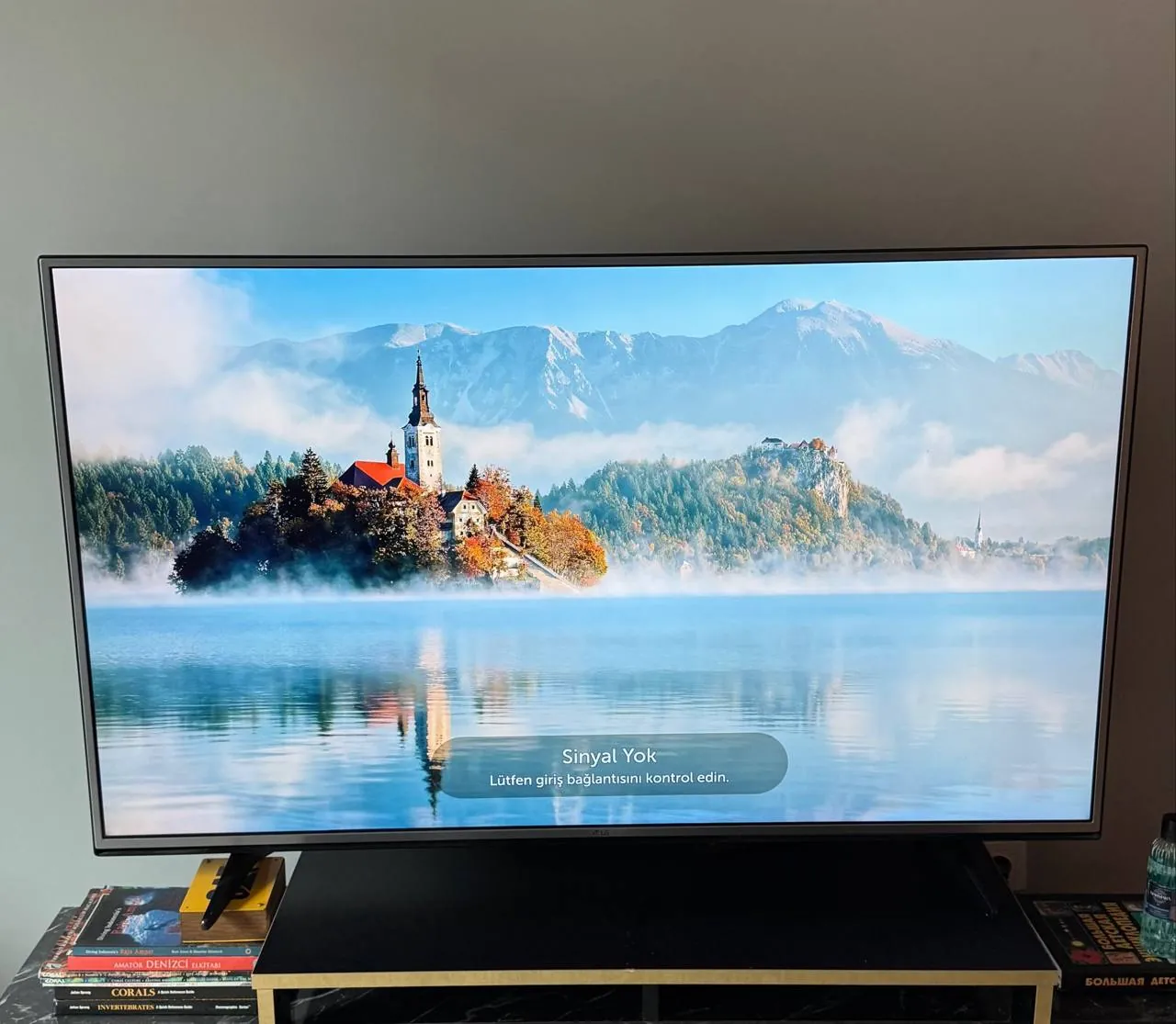 Телевизор LG 55 дюймов 4K Smart TV 1