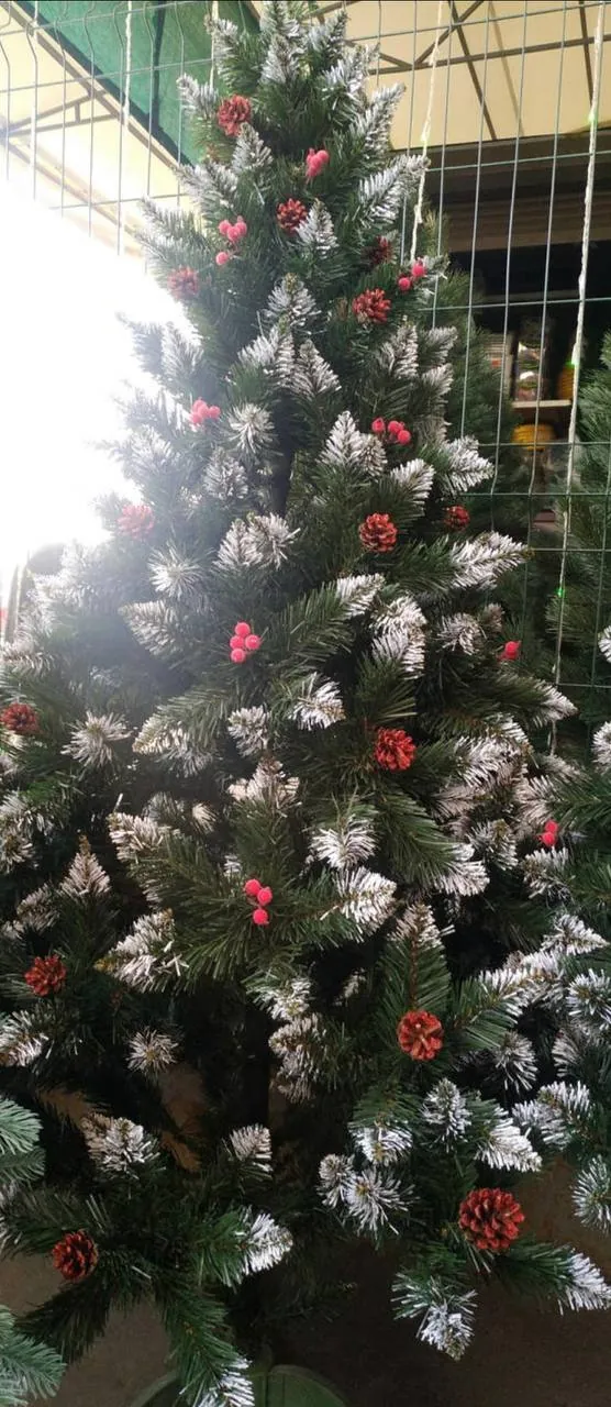 Новогодняя ёлка высотой 2.2 метра в Кумбургазе 1