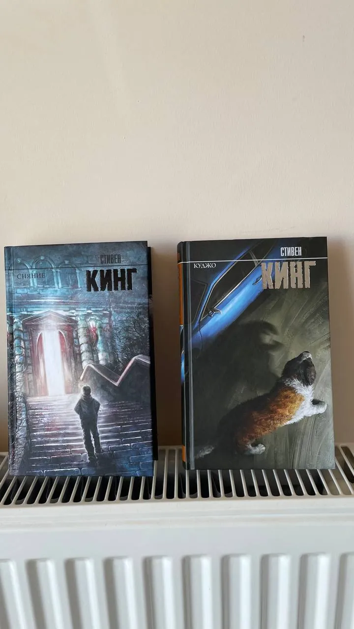 Книги Сияние и Куджо в Гюзелобе 1