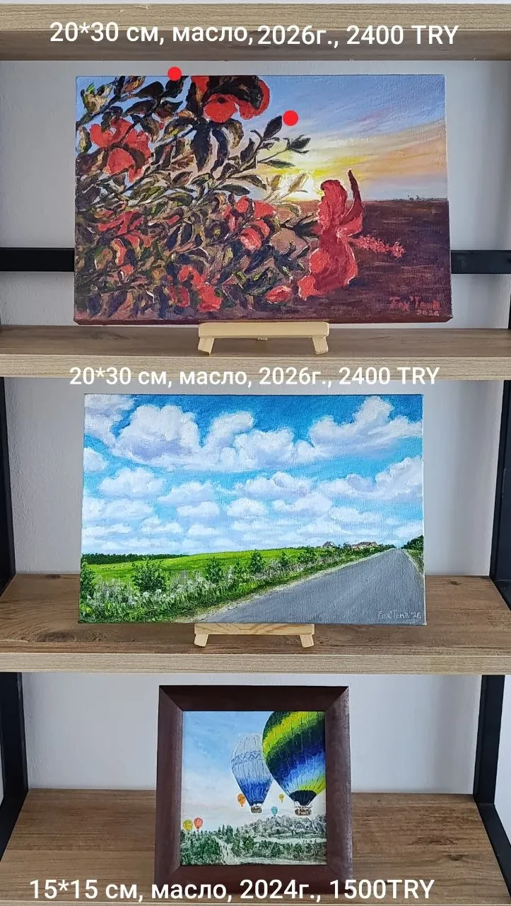 Миниатюра 1