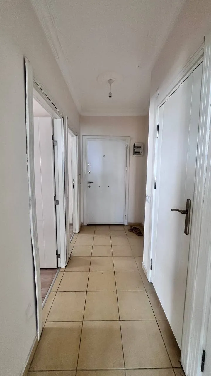 Миниатюра 8