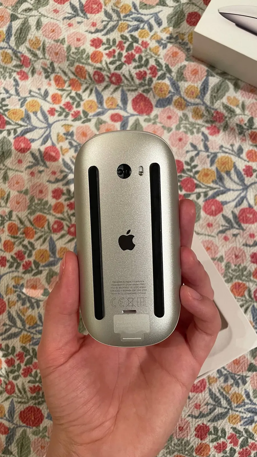Новая мышь Apple Magic Mouse 2 3