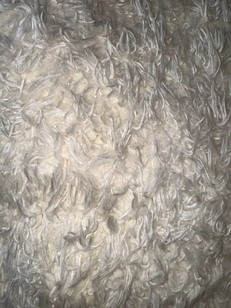 Большой немецкий ковёр 280×370 см 5