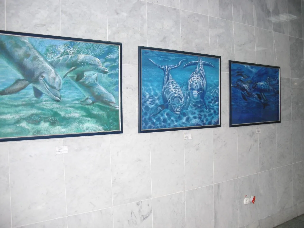 Пастельная картина 70×100 см в Анталии 3