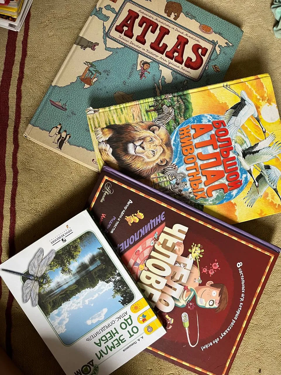 Подержанные книги в районе Лиман 2
