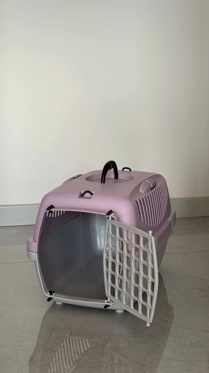 Миниатюра 1