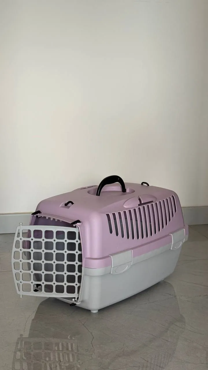 Миниатюра 2