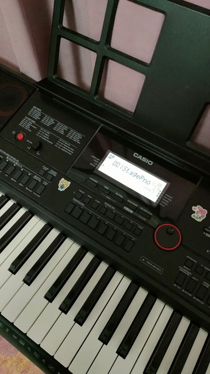 Синтезатор Casio с подставкой, использовался полтора года 3
