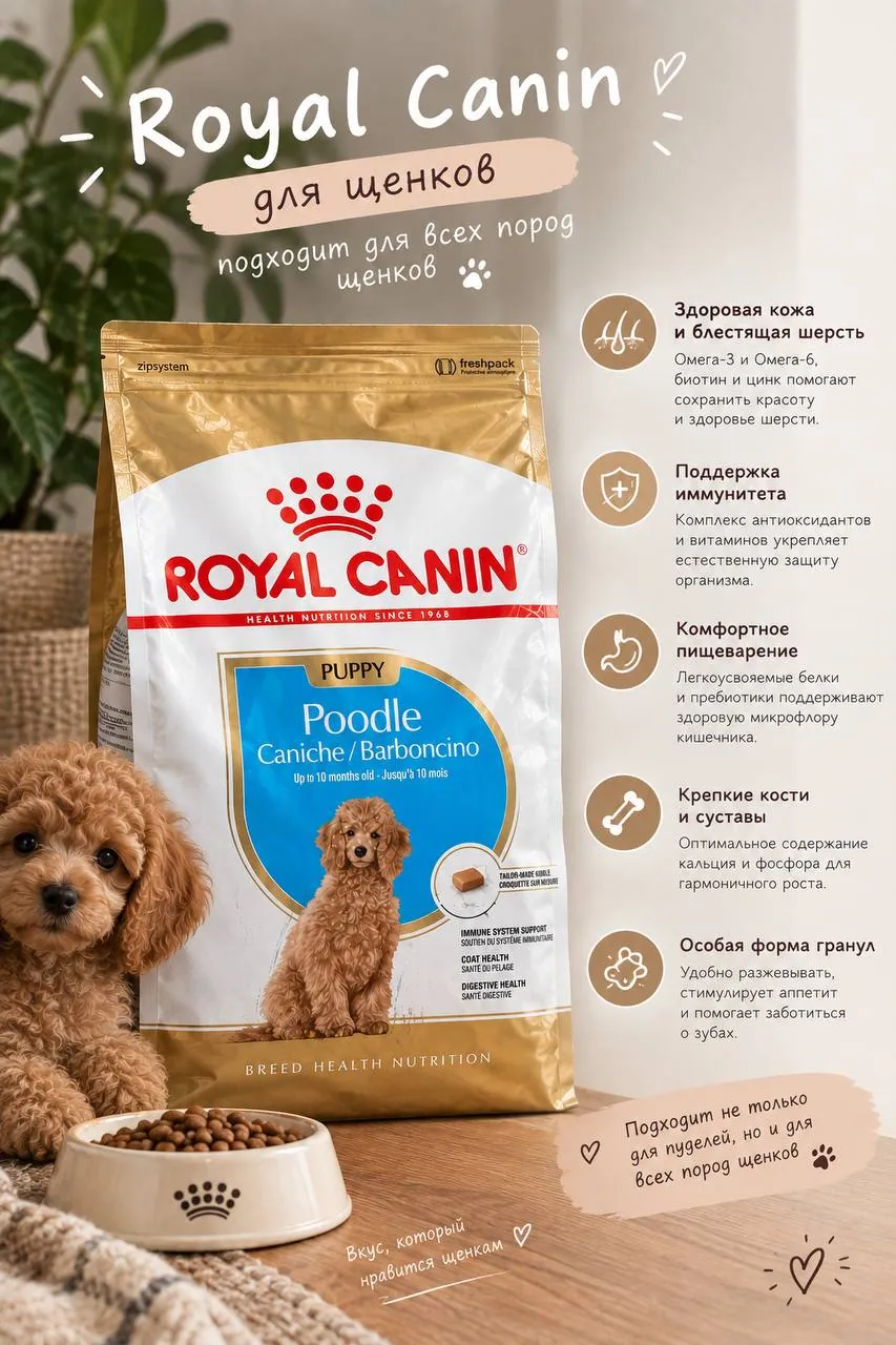 Корм Royal Canin для щенков пуделя 2.3 кг 1