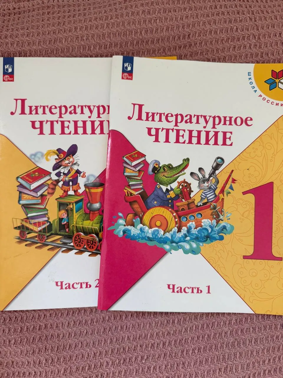 Рабочие тетради по литературному чтению 1 класс 1