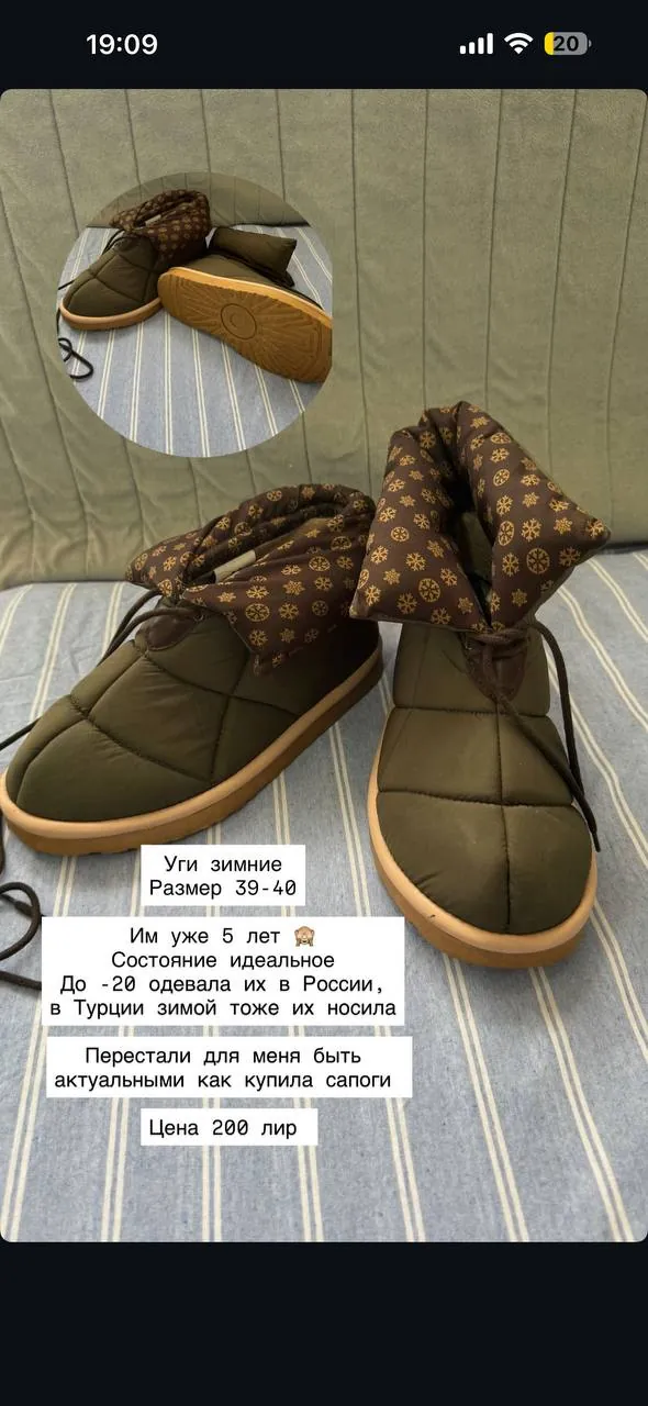 Миниатюра 2