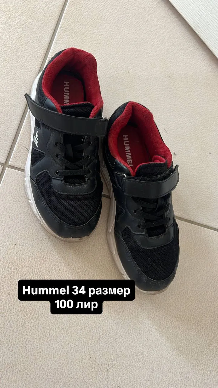 Миниатюра 1