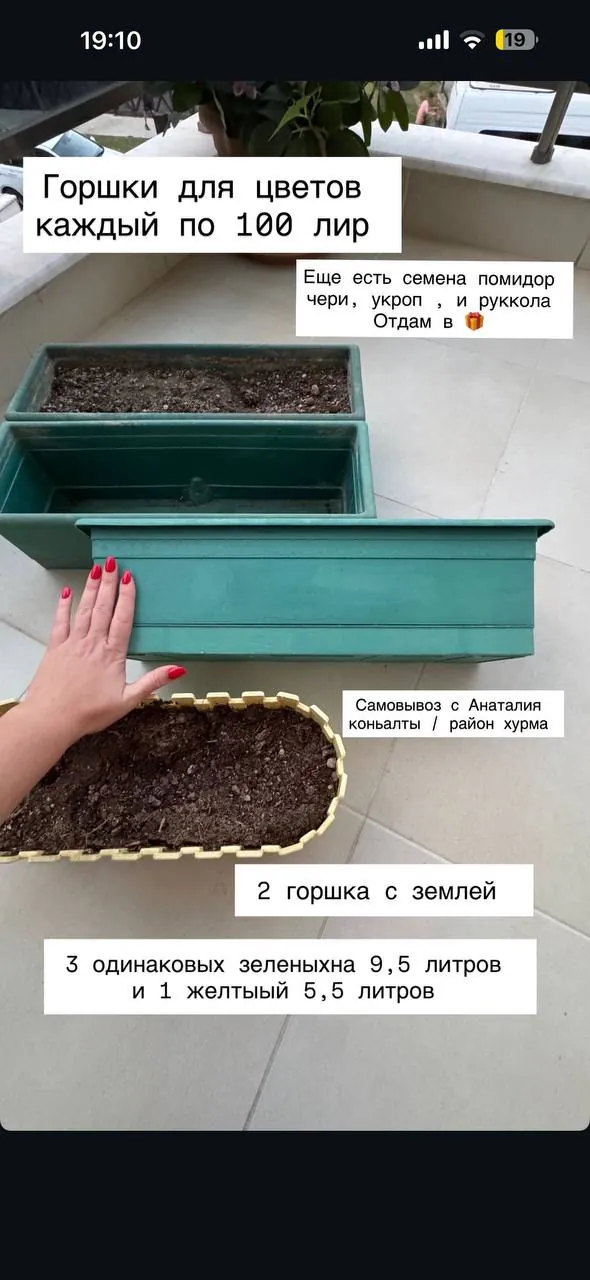 Горшки для комнатных цветов 1