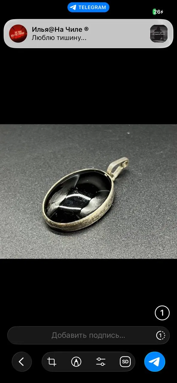 Серебряное украшение с камнем гагат 6
