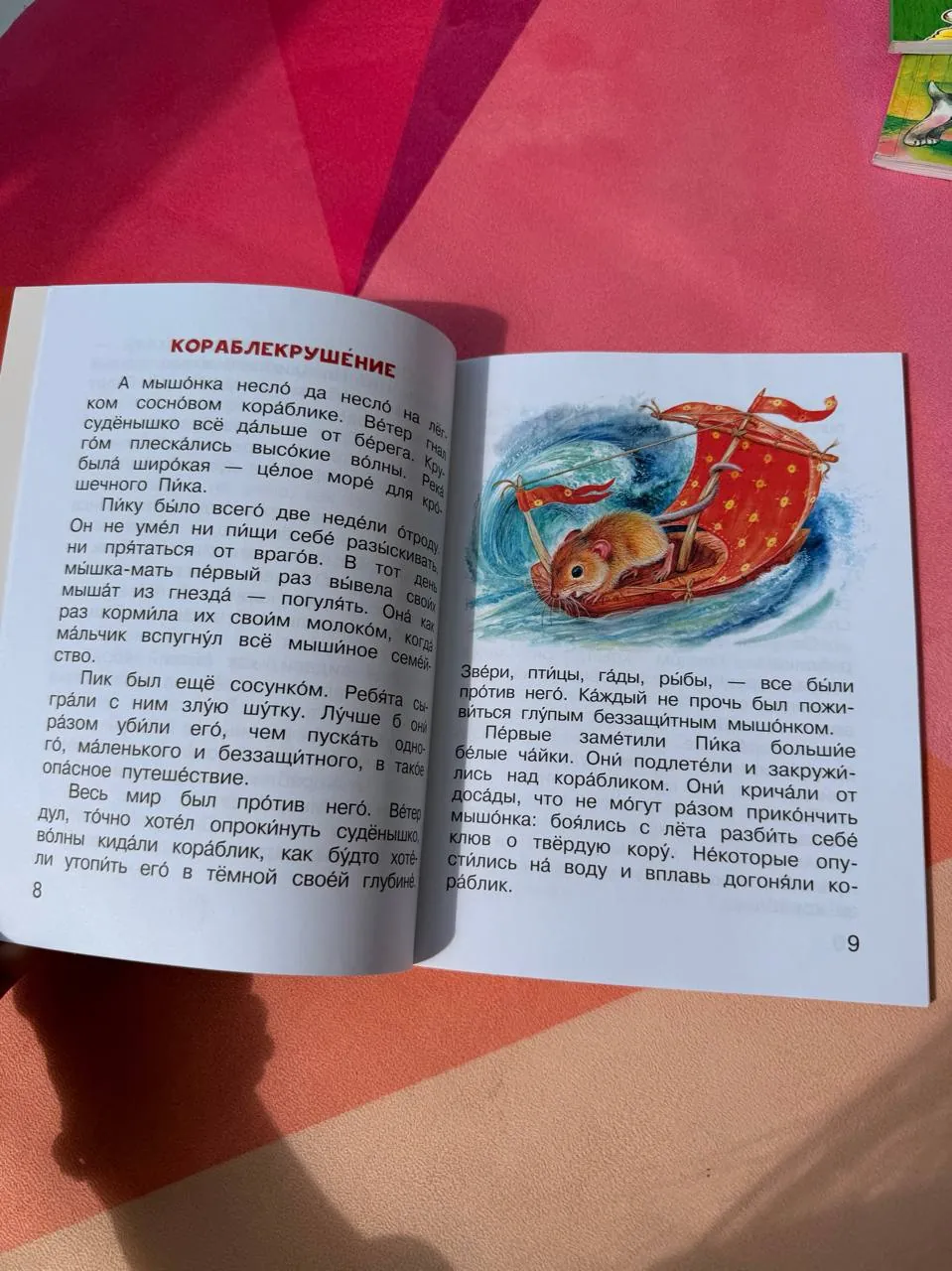 Миниатюра 6