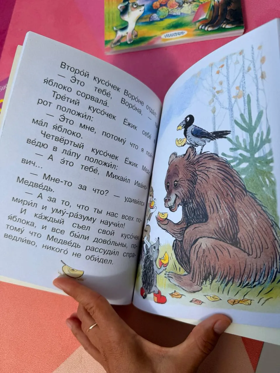 Миниатюра 4