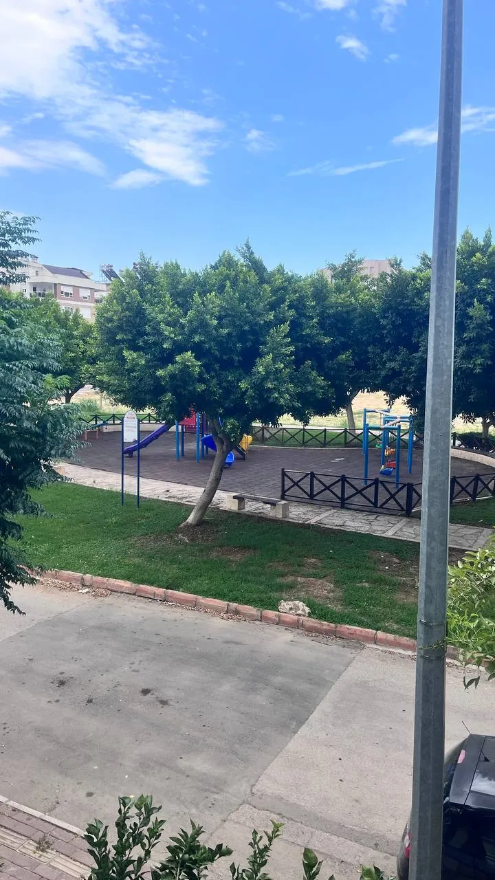 Миниатюра 9