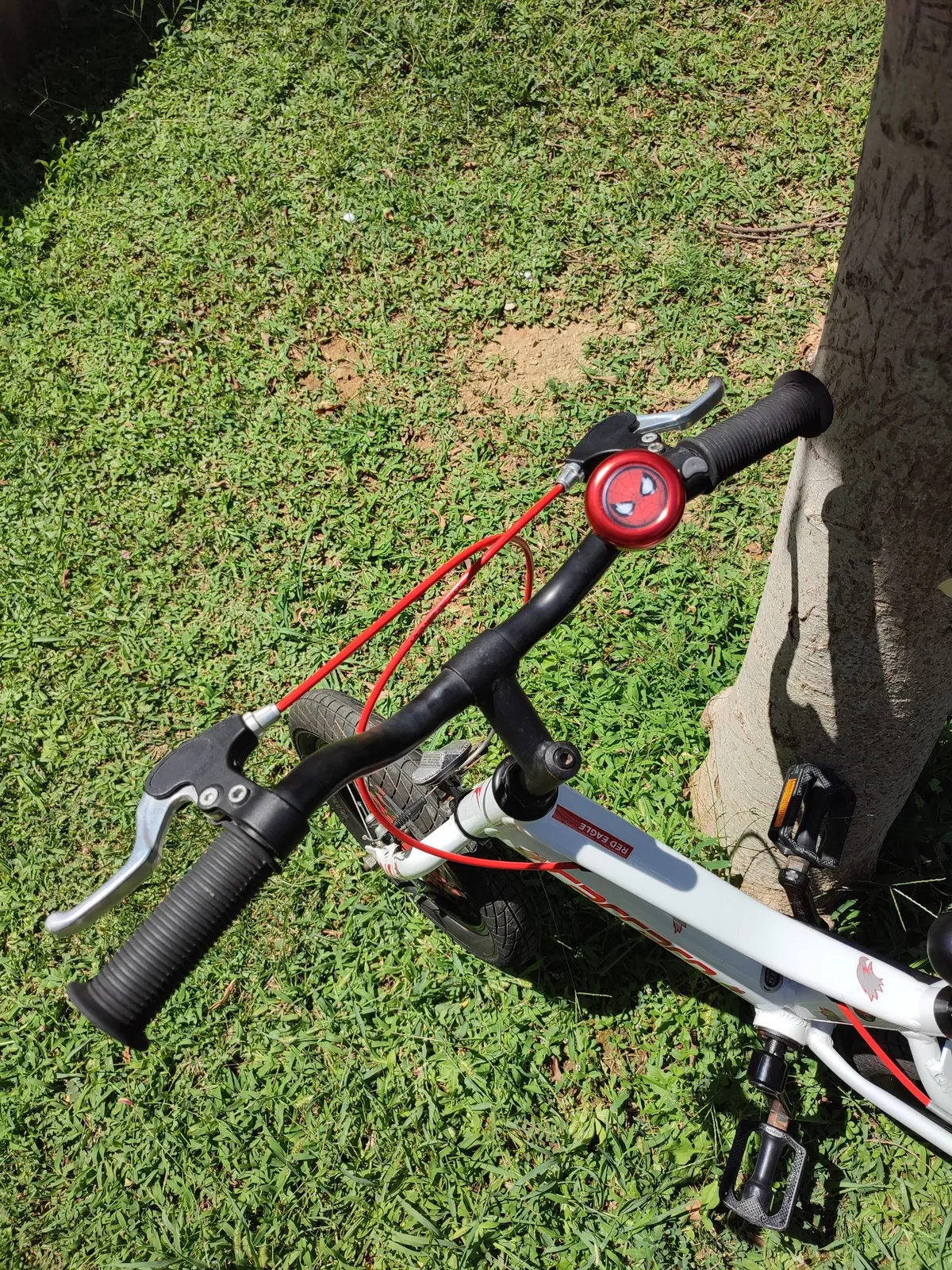 Детский велосипед Carraro Red Eagle 5