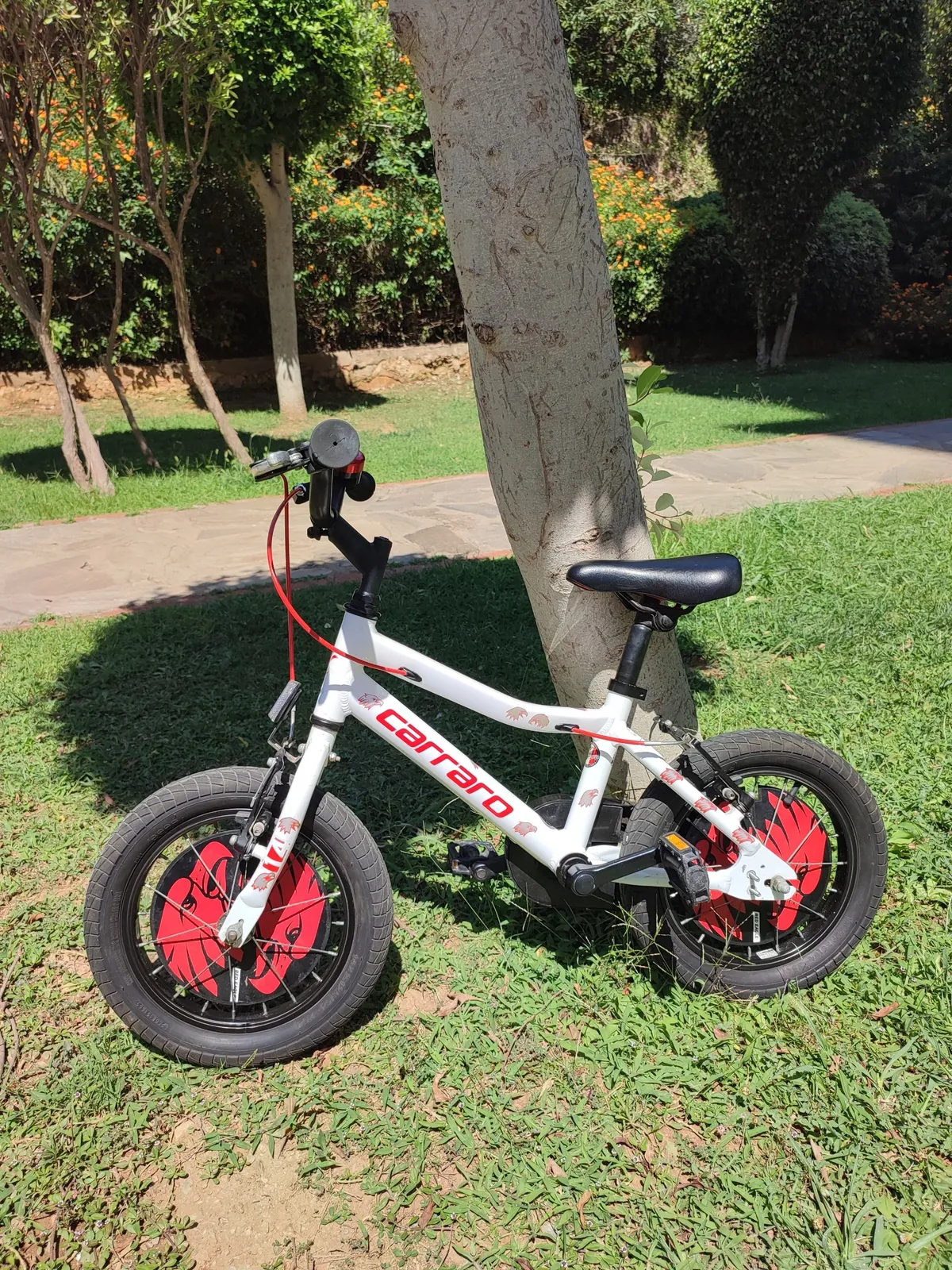 Детский велосипед Carraro Red Eagle 1
