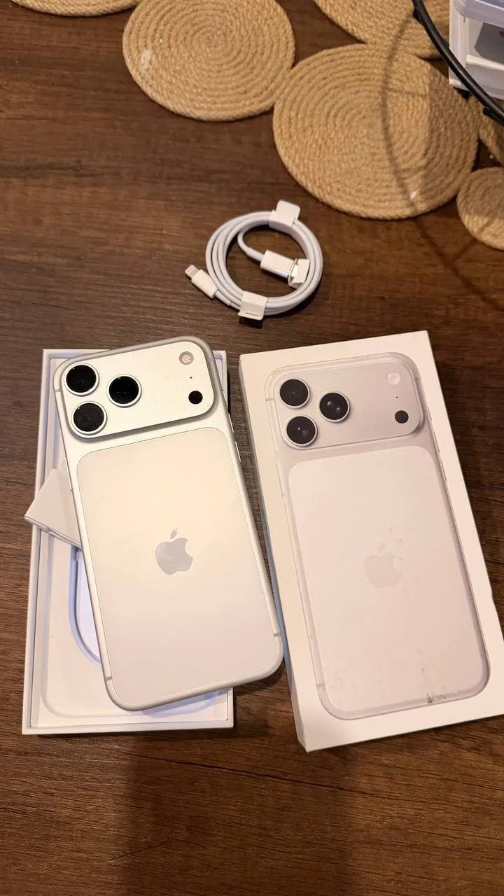 IPhone 17 Pro Max 256 ГБ Silver 5