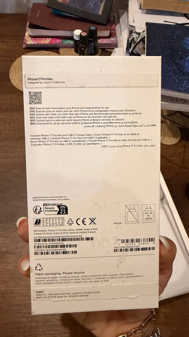IPhone 17 Pro Max 256 ГБ Silver 6