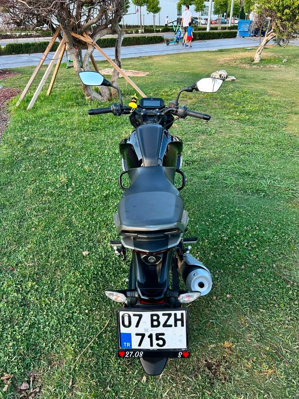 Миниатюра 3