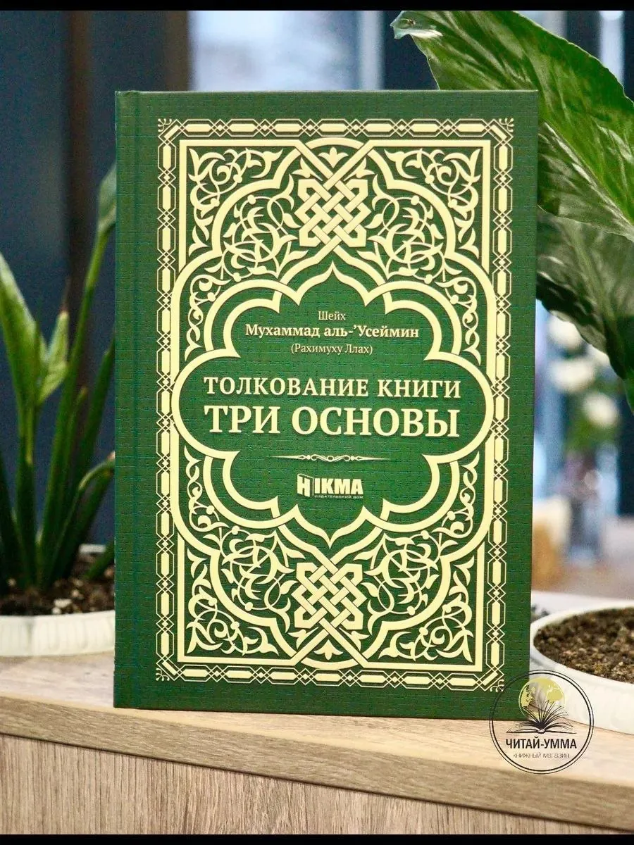 Миниатюра 9