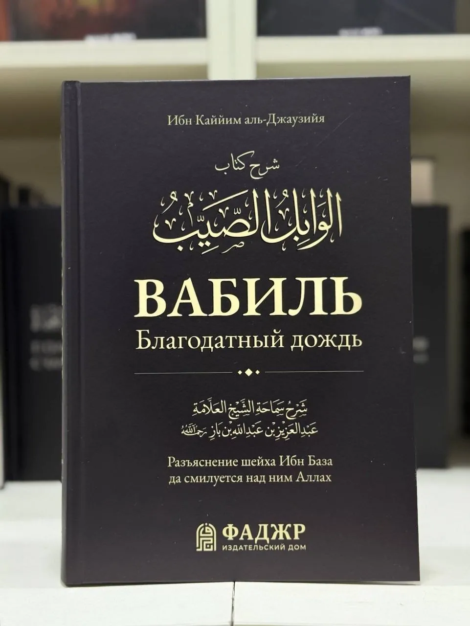 Миниатюра 4